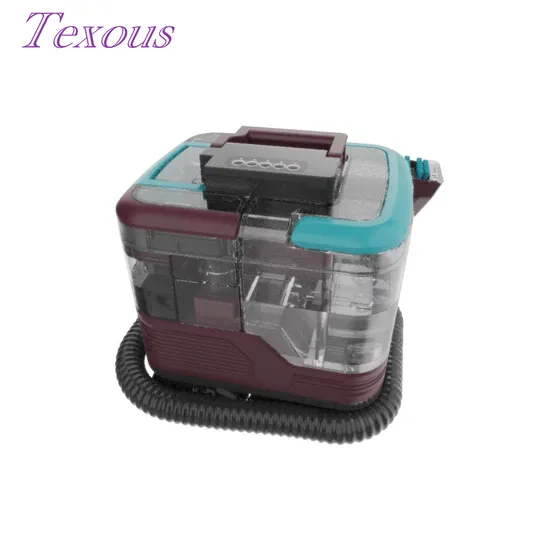 Professional Portable Function in One Carpet Cleaning Machine Sofa Curtain Vacuum Steam Cleaner